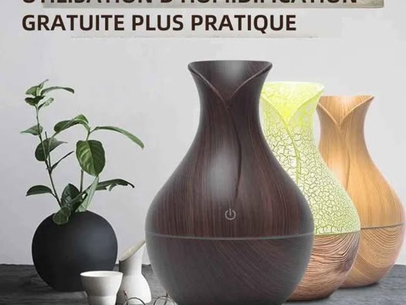 Humidificateur d'air wood mars 2