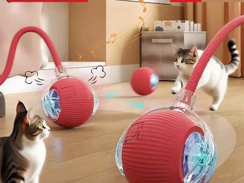 Jouet lumineux pour chat